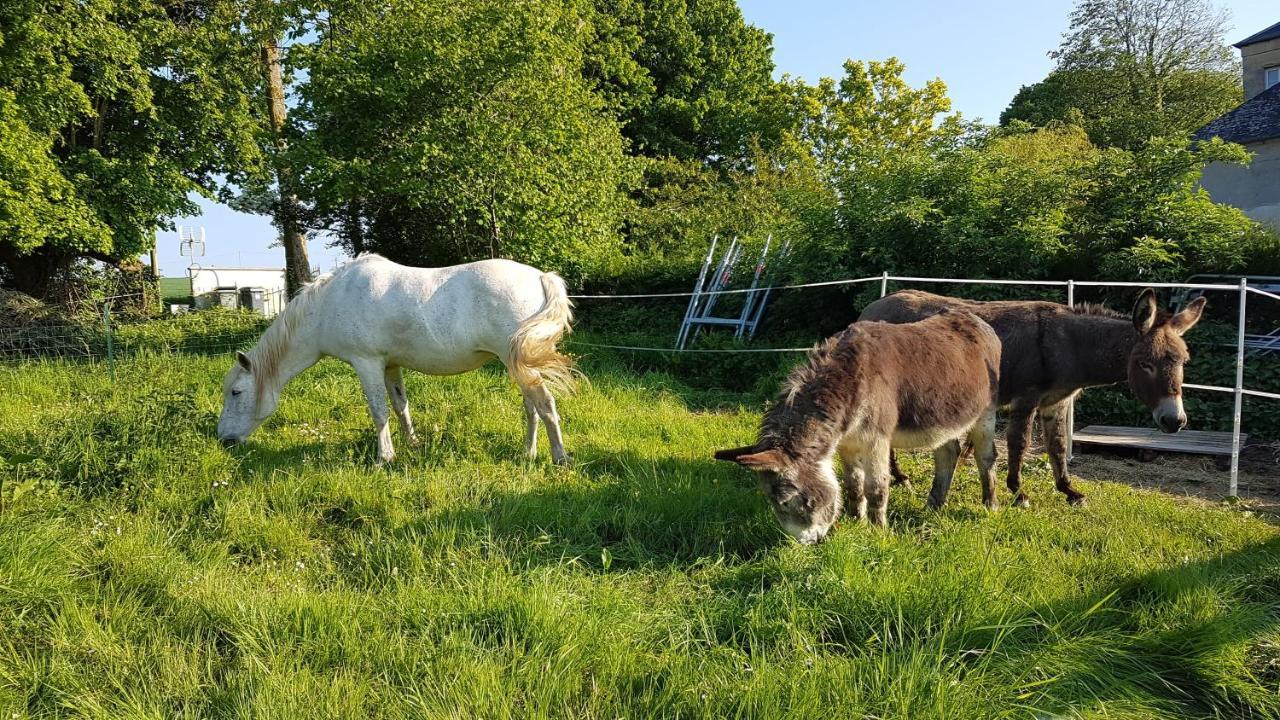 La Bergerie Du Mesnil Bed & Breakfast Livry  ภายนอก รูปภาพ